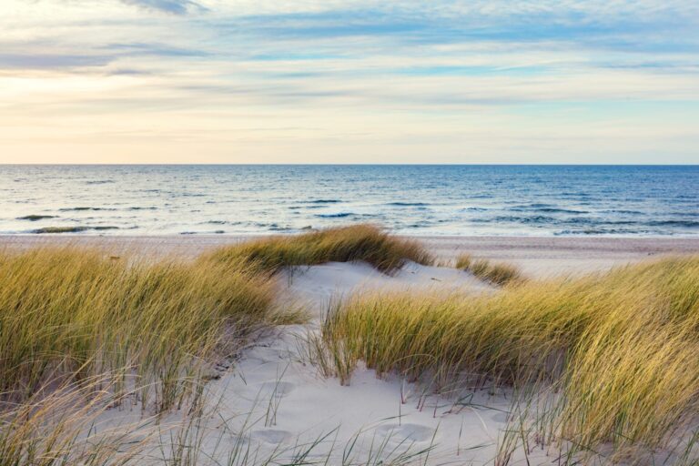 Grassy dunes and the Baltic sea